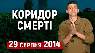 Як РФ зіграла «миротворця»: переговори, засідка й втрати під Іловайськом 29.08.2014 | Хроніка АТО