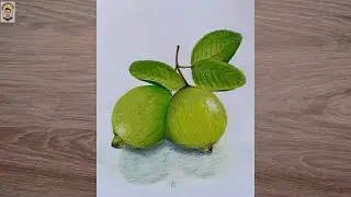 Easy guava drawing with soft oil pastel color | fruits art