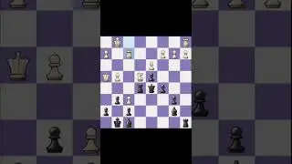 Yummy Chess Middle Game #shorts #chess #chesstactics