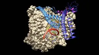 Making RNA from RNA
