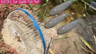 Catching Fish - Electric Fan Guard Fish Trap - Fishing in Cambodia 😍😍😍