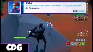 Hit Weakpoints- XP Quest in Fortnite