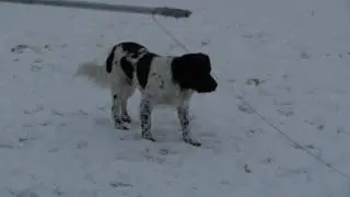 Osku seisonta