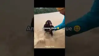 #trend