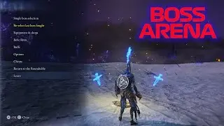 Boss Arena mod in Elden Ring Nightreign..