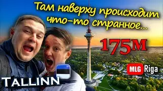 Пункт назначения: Таллиннская телебашня.🇪🇪