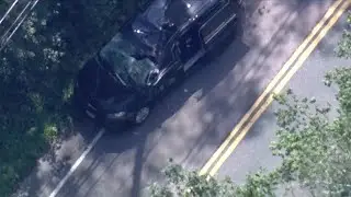 Minivan heavily damaged by falling tree on road in Holliston