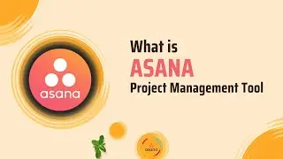 01 | What is Asana & How to Use Asana Effectively for Project Management