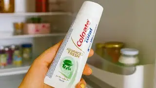 Toothpaste on the refrigerator seal. It removes mold and dirt instantly.