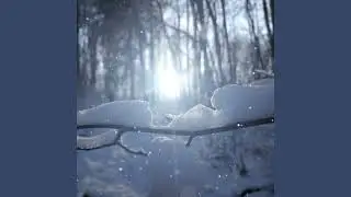 Я превращаю всё в Любовь...   I transform everything into Love...