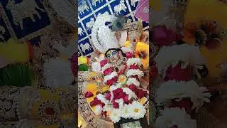 Sri Sri Radha Damodar prakatya Mahamahotsav ki jay 🙏&hearts;️