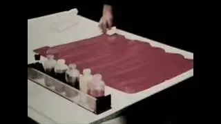 Maps And Mapmaking: The Mapmaking Process - 1973 - CharlieDeanArchives / Archival Footage
