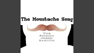 The Moustache Song