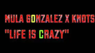 Mula Gonzalez X Knots - Life Is Crazy #CARTELMOB #BV420 #TheUnfortunateBunch 2015