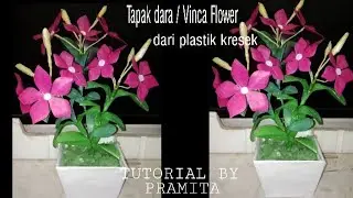DIY Bunga Tapak Dara/Vinca Flower dari plastik kresek- Rose Periwinkle/Catharanthus roseus flower
