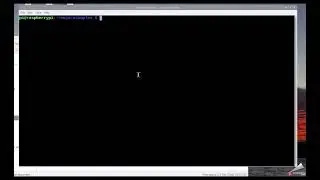 mojo(fast python) on raspberry pi - install and some tests