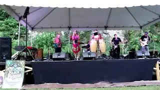 Electric Gumbo - Keep on Growing