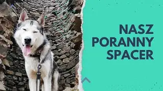 Nasz codzienny poranny spacer. Poranna rutyna. Spacer z psem rano.