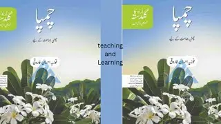 Teaching and learning. Oxford Champa lesson 9 Exercise words meaning. بچّے الفاظ معنی مشق