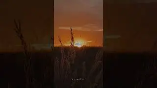 Kitida Navyane | मराठी गाणी | Marathi Song | Lyrics #lyrics #shorts #hearttouching #melody #status