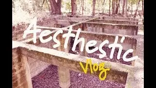 Aesthetic vlog