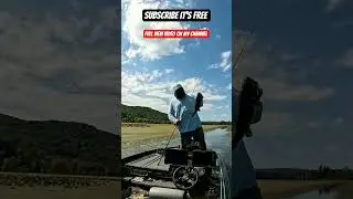 Last FROG BITE of the Trip discount code/links in description