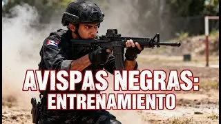 ☢️AVISPAS NEGRAS DE CUBA: 
