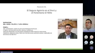 37 Ponencia Felipe Yupa