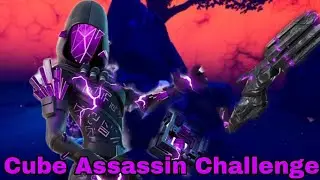 Fortnite: Cube Assassin Challenge!