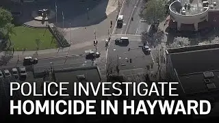 Woman Found Dead in Hayward: Police