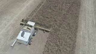 Gleaner R72 in beans