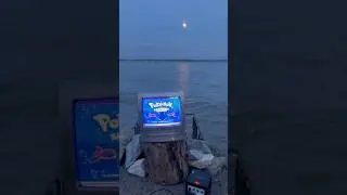 My GameCube was swept out to sea?! #thescenicgamer #pokemon #waves
