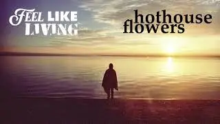 Hothouse Flowers - Feel Like Living