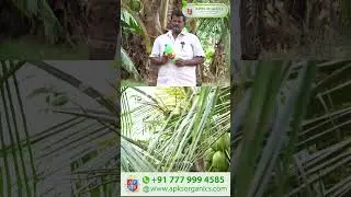 [ Tamil] Coconut Online Farmer Mr.Sendhil giving feedback about our Cocomax result
