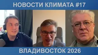 Контрабанда хладагентов в ЕС, компрессоры Hitachi/Bosch и сплит за 11 649 ₽ | Новости климата #17