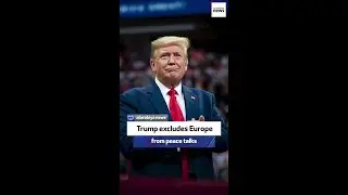 Boris Volodarsky: Trump excludes Europe from peace talks