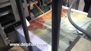 PRINT13 Delphax