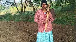 பார் இழுக்கலாம்&zwnj; வாங்க 