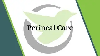Washington Nurse Aide Skill #21: Peri Care