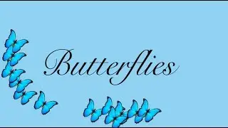 Butterflies - Gabbie Hanna (lyric video)