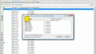 Company/Group Limited Access Tool for ACT! by Sage