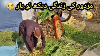 Sabaz Chara Bana Diya Janwaro Ka 😭😭