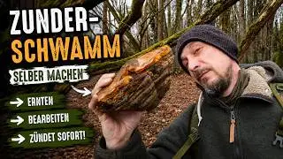 Zunderschwamm selber herstellen – vom Fund im Wald bis zum fertigen Zunder🔥