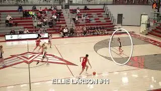 Ellie Larson CVHS Basketball - Timpview/Springville HIghlights