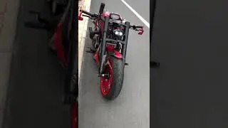 Harley Davidson v rod in red and black colour
