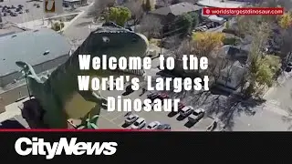 Drumheller's World's Largest Dinosaur to be taken down