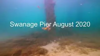 Diving under Swanage Pier August 2020 - Dive 1