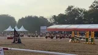 NER Band Stunning Performance at Horse Show | Republic Day Camp 2026 | NCC RDC Delhi