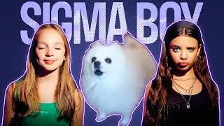 SIGMA DOGS