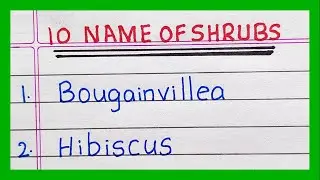 10 Name of Shrubs | 5 | 10 Examples of Shrubs Plants | Trees | in India